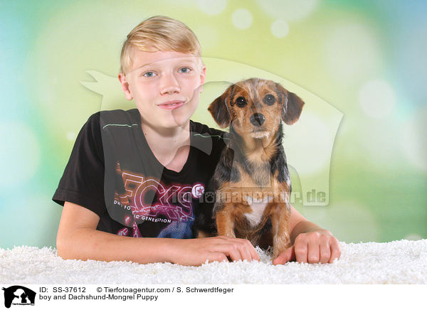 Junge und Dackel-Mix Welpe / boy and Dachshund-Mongrel Puppy / SS-37612