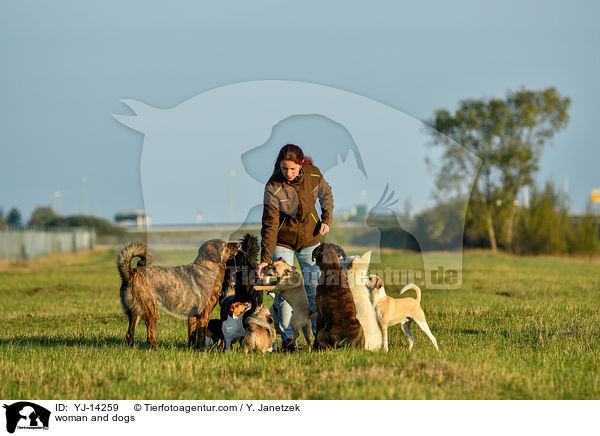 Frau und Hunde / woman and dogs / YJ-14259