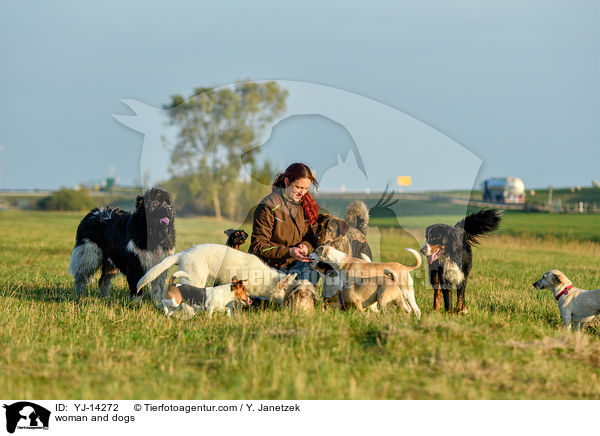 woman and dogs / YJ-14272