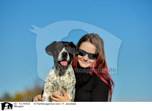 Pointer-Mix / Mongrel / YJ-14433