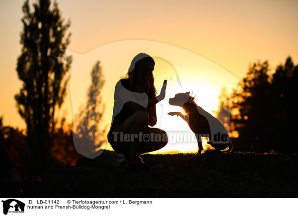 Mensch und Franzsiche-Bulldogge-Mischling / human and Frensh-Bulldog-Mongrel / LB-01142