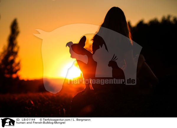 Mensch und Franzsiche-Bulldogge-Mischling / human and Frensh-Bulldog-Mongrel / LB-01144