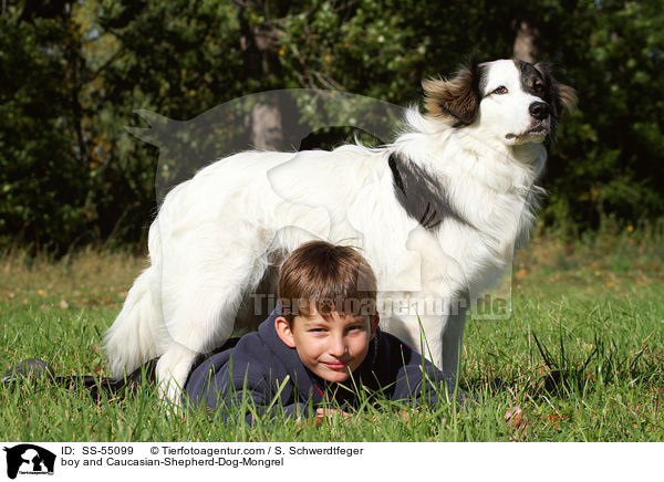 Junge und Kaukasischer-Schferhund-Mischling / boy and Caucasian-Shepherd-Dog-Mongrel / SS-55099