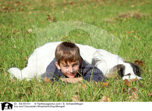 Junge und Kaukasischer-Schferhund-Mischling / boy and Caucasian-Shepherd-Dog-Mongrel / SS-55101