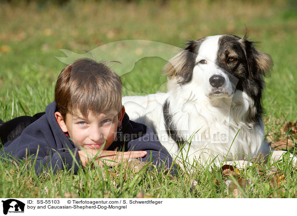 Junge und Kaukasischer-Schferhund-Mischling / boy and Caucasian-Shepherd-Dog-Mongrel / SS-55103