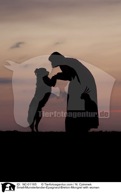 Kleiner-Mnsterlnder-Epagneul-Breton-Mischling mit Frau / Small-Munsterlander-Epagneul-Breton-Mongrel with woman / NC-01165