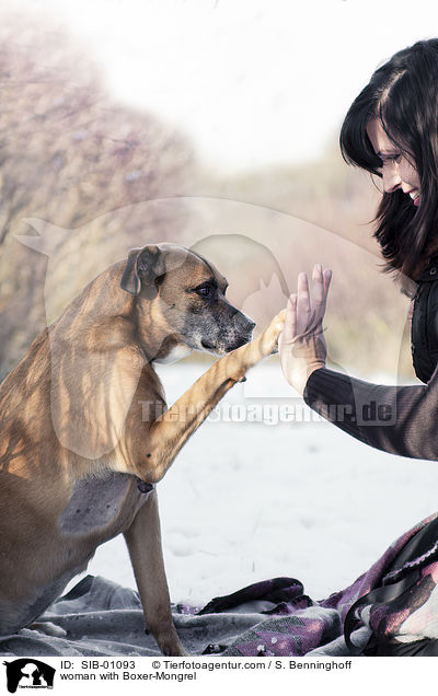 Frau mit Boxer-Mischling / woman with Boxer-Mongrel / SIB-01093