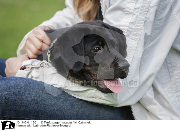 Mensch mit Labrador-Retriever-Mischling / human with Labrador-Retriever-Mongrel / NC-01196