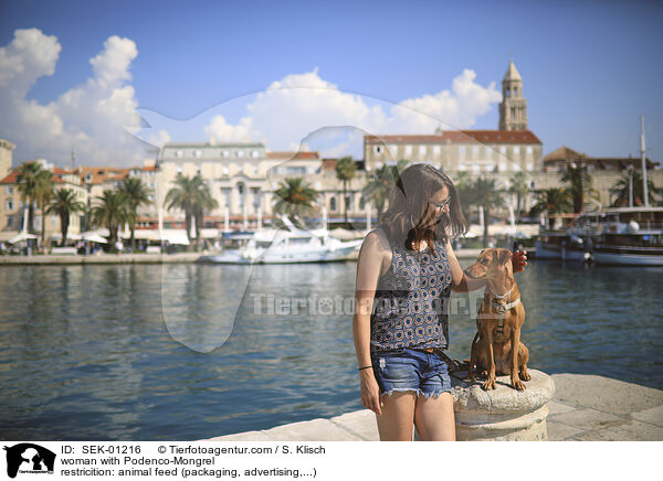 Frau mit Podenco-Mischling / woman with Podenco-Mongrel / SEK-01216