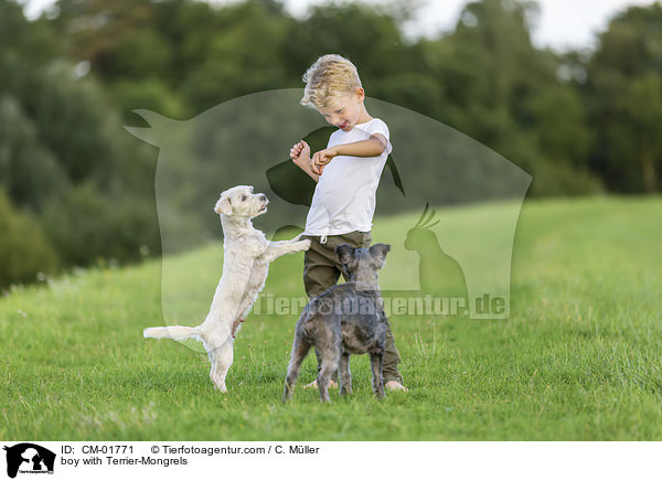 Junge mit Terrier-Mischlinge / boy with Terrier-Mongrels / CM-01771