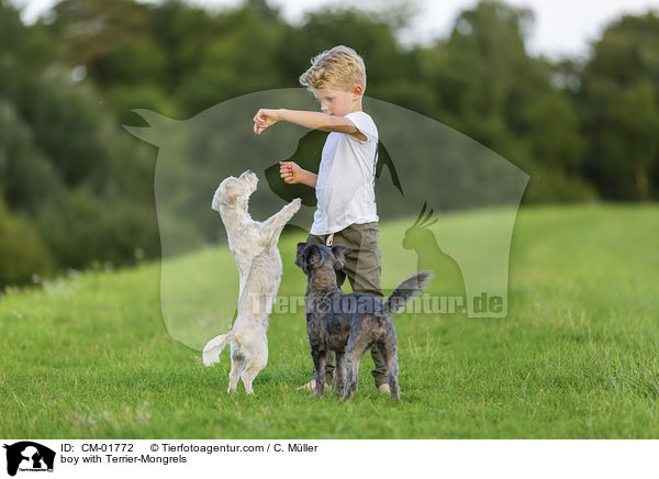Junge mit Terrier-Mischlinge / boy with Terrier-Mongrels / CM-01772