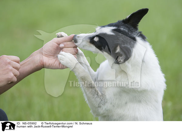 Mensch mit Jack-Russell-Terrier-Mischling / human with Jack-Russell-Terrier-Mongrel / NS-05992