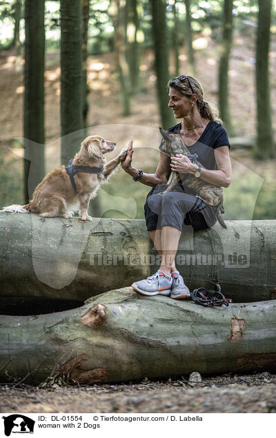 Frau mit 2 Hunde / woman with 2 Dogs / DL-01554