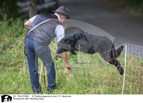 Schfer mit Htehund / Shepherd with Herding Dog / FH-01368