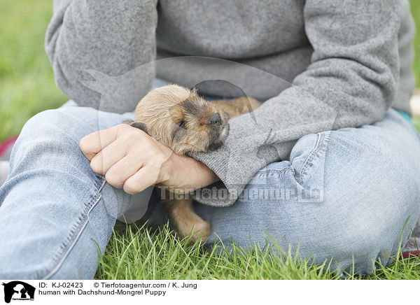 Mensch mit Dackel-Mischling Welpe / human with Dachshund-Mongrel Puppy / KJ-02423