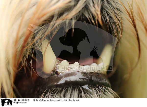Hundemaul / dog's snout / KB-02330
