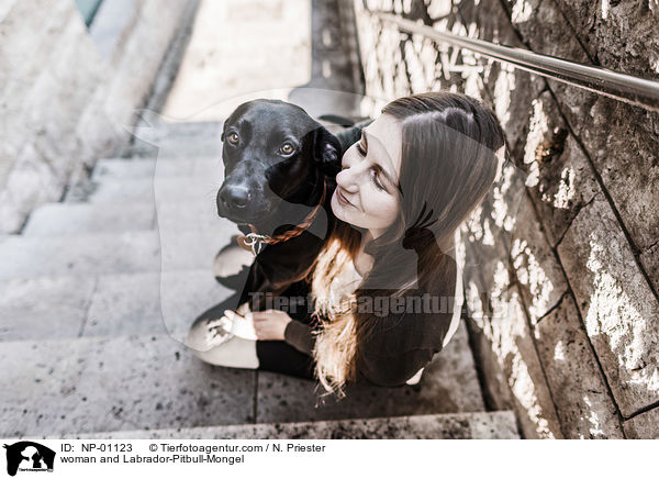 Frau und Labrador-Pitbull-Mischling / woman and Labrador-Pitbull-Mongel / NP-01123