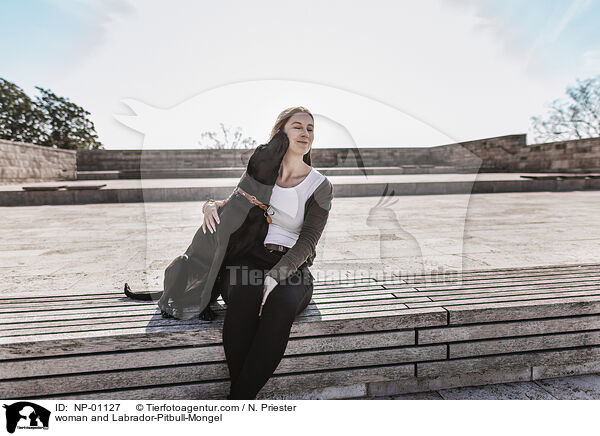 Frau und Labrador-Pitbull-Mischling / woman and Labrador-Pitbull-Mongel / NP-01127