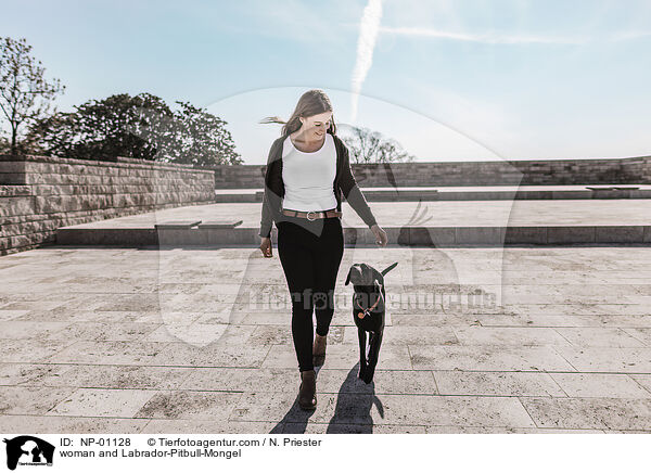 Frau und Labrador-Pitbull-Mischling / woman and Labrador-Pitbull-Mongel / NP-01128