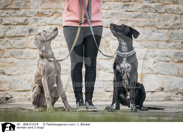 Frau und 2 Hunde / woman and 2 dogs / JEB-01418