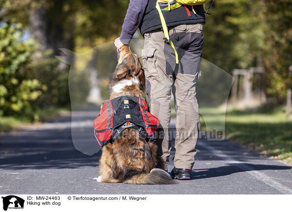 Wandern mit Hund / Hiking with dog / MW-24463