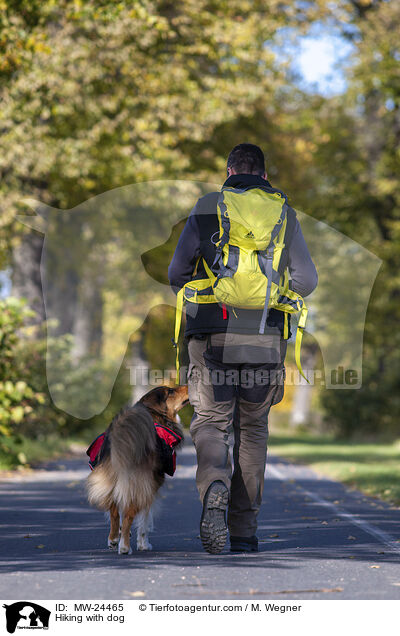 Wandern mit Hund / Hiking with dog / MW-24465