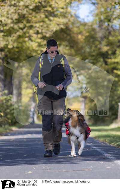 Wandern mit Hund / Hiking with dog / MW-24466