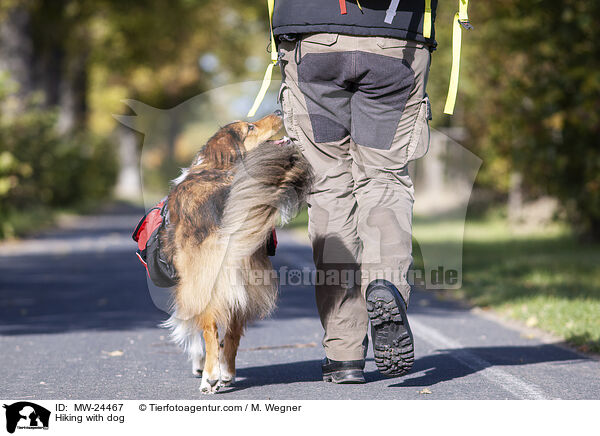 Wandern mit Hund / Hiking with dog / MW-24467