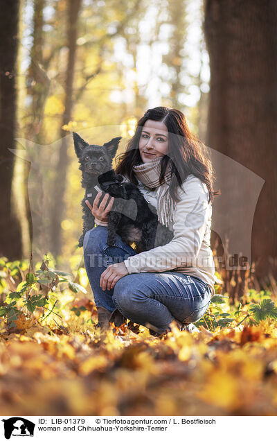 Frau und Chihuahua-Yorkshire-Terrier / woman and Chihuahua-Yorkshire-Terrier / LIB-01379
