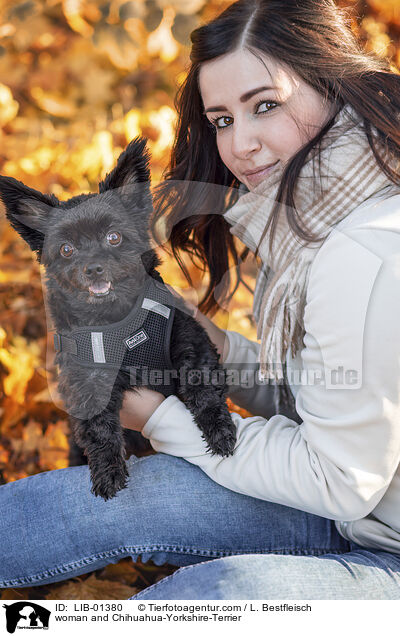 Frau und Chihuahua-Yorkshire-Terrier / woman and Chihuahua-Yorkshire-Terrier / LIB-01380