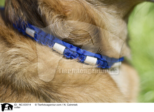 Hundehalsband / collar / NC-03014