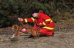 rescue dog