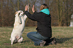 mongrel gives high-five