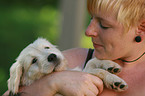 woman and mongrel puppy