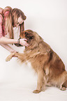 mongrel gives paw