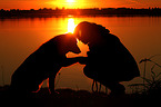 woman and Bernese-Mountain-Dog-Shepherd