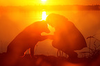 woman and Bernese-Mountain-Dog-Shepherd