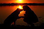 woman and Bernese-Mountain-Dog-Shepherd