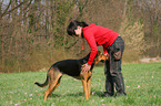 woman and Shepherd-Mongrel