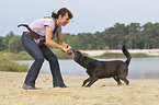woman with Labrador-Retriever-German-Shepherd-Mongrel