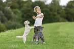 boy with Terrier-Mongrels
