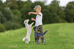 boy with Terrier-Mongrels