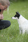woman with Jack-Russell-Terrier-Mongrel