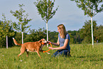 woman with Podenco-Mongrel
