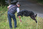 Shepherd with Herding Dog