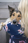 woman with Australian-Shepherd-Border-Collie-Mongrel