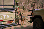 antipoaching unit