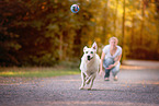 Labrador-Retriever-Shepherd in autumn