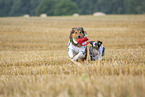 Australian-Shepherd-Mongrel and Miniature Australian Shepherd