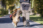 Hiking with dog